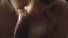 Farhana R intense dick licking