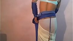 hotty sexy saree